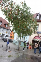 20140430-IMG_2753